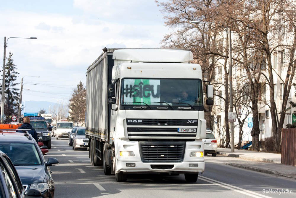 •  Fotó: Tamás Attila