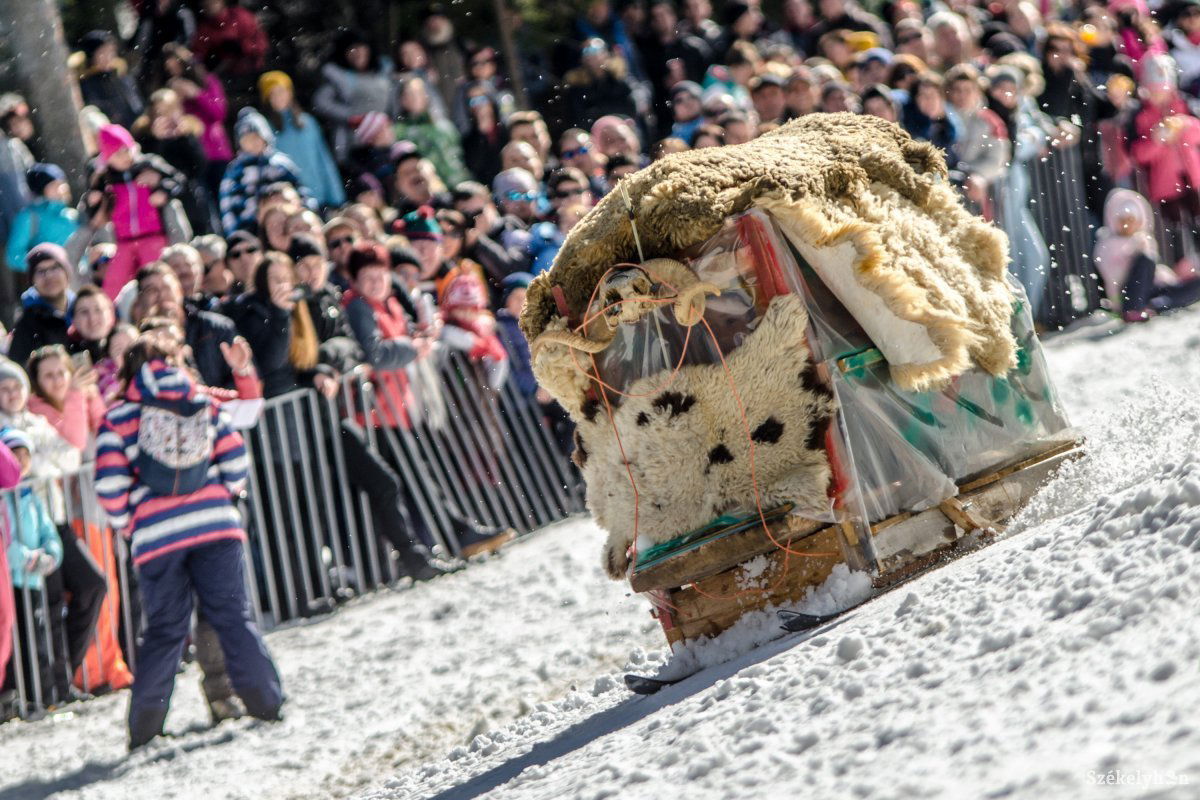 •  Fotó: Pinti Attila