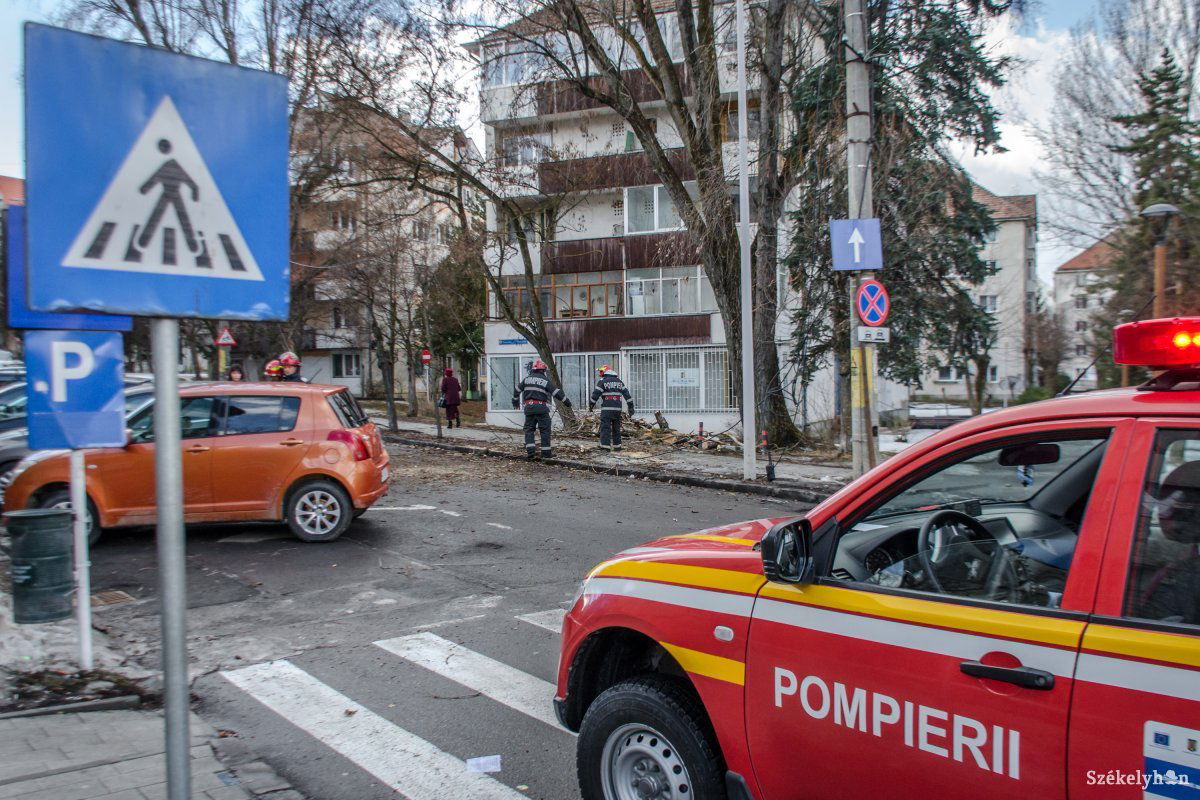 •  Fotó: Pinti Attila