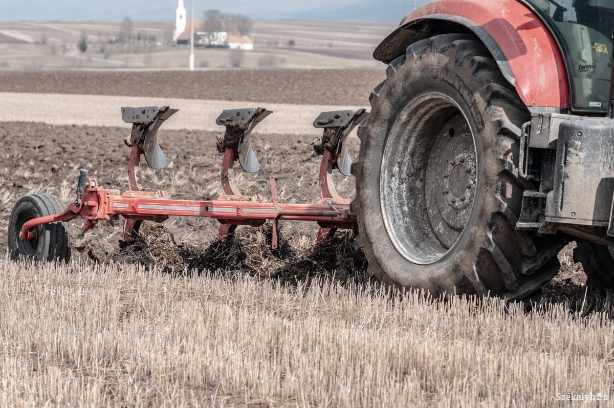 &bullet;  Fotó: Gábos Albin