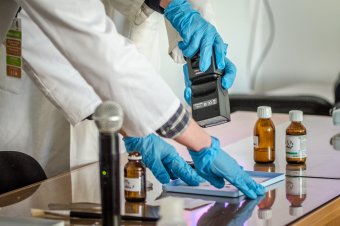 Laborkukac diákvetélkedőt szervez a Sapientia