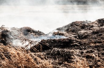 A rendőri felszólítás ellenére is égette a hulladékot – 30 ezer lejes bírságot kapott