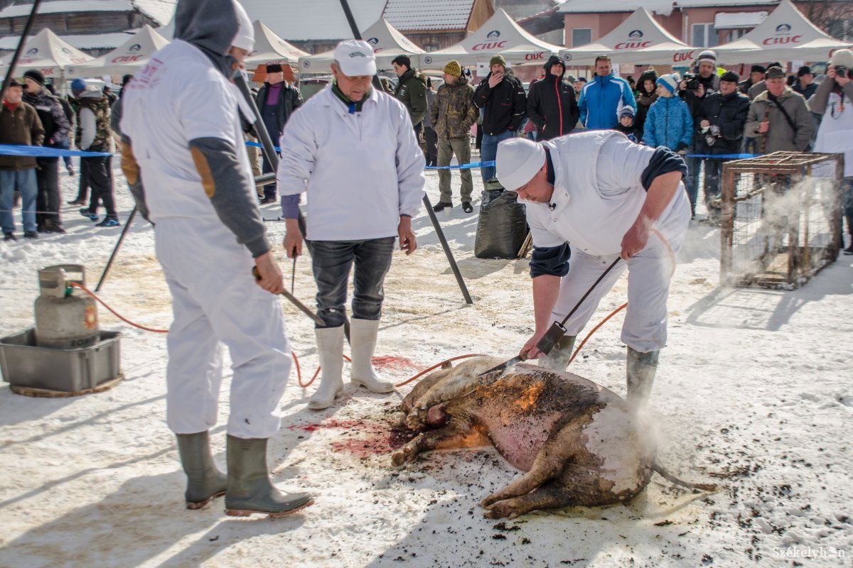 •  Fotó: Pinti Attila