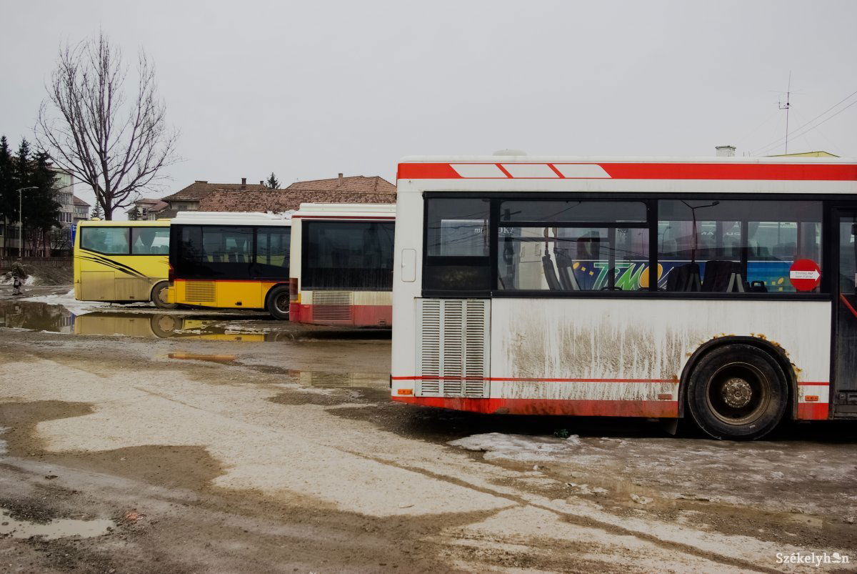 A nagyvárosok tömegközlekedésének megfelelő működését is veszélyezteti a sofőrhiány •  Fotó: Gábos Albin