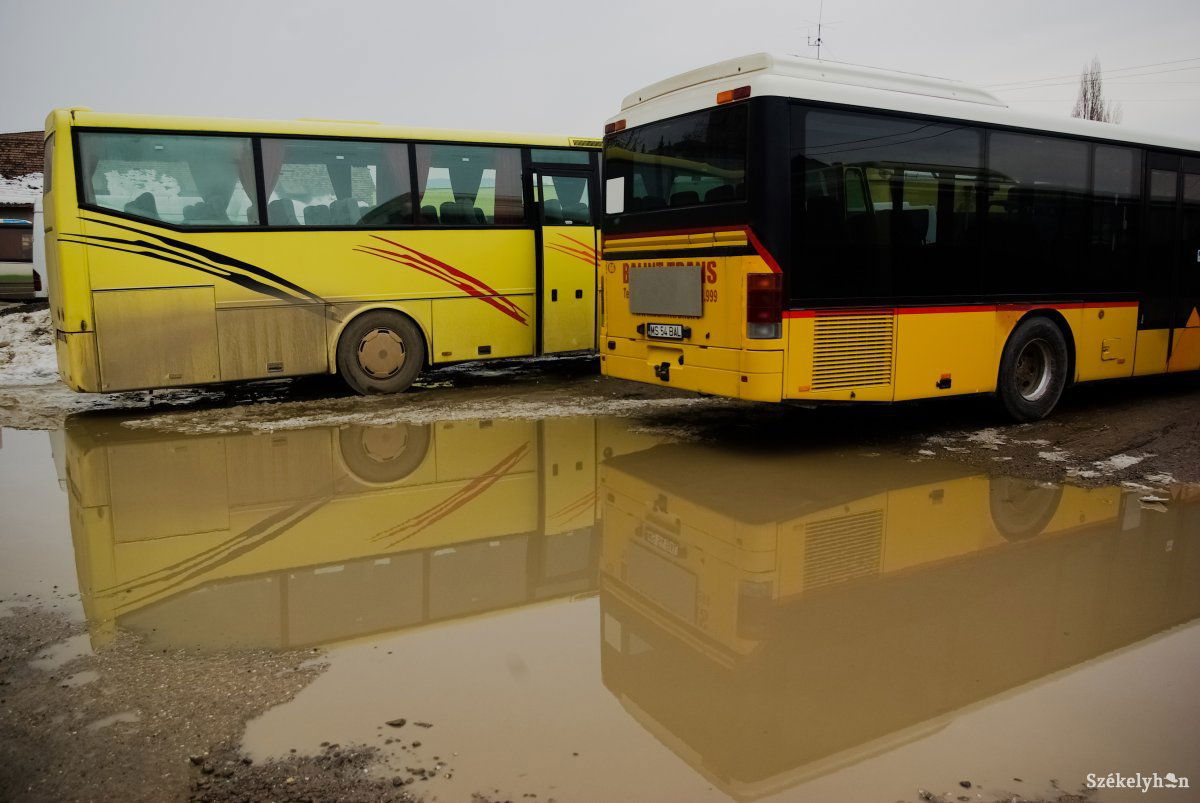 Buszok indulás előtt. A járműpark és a létesítmények korszerűsítése mellett sofőrökre is nagy szükség van •  Fotó: Gábos Albin