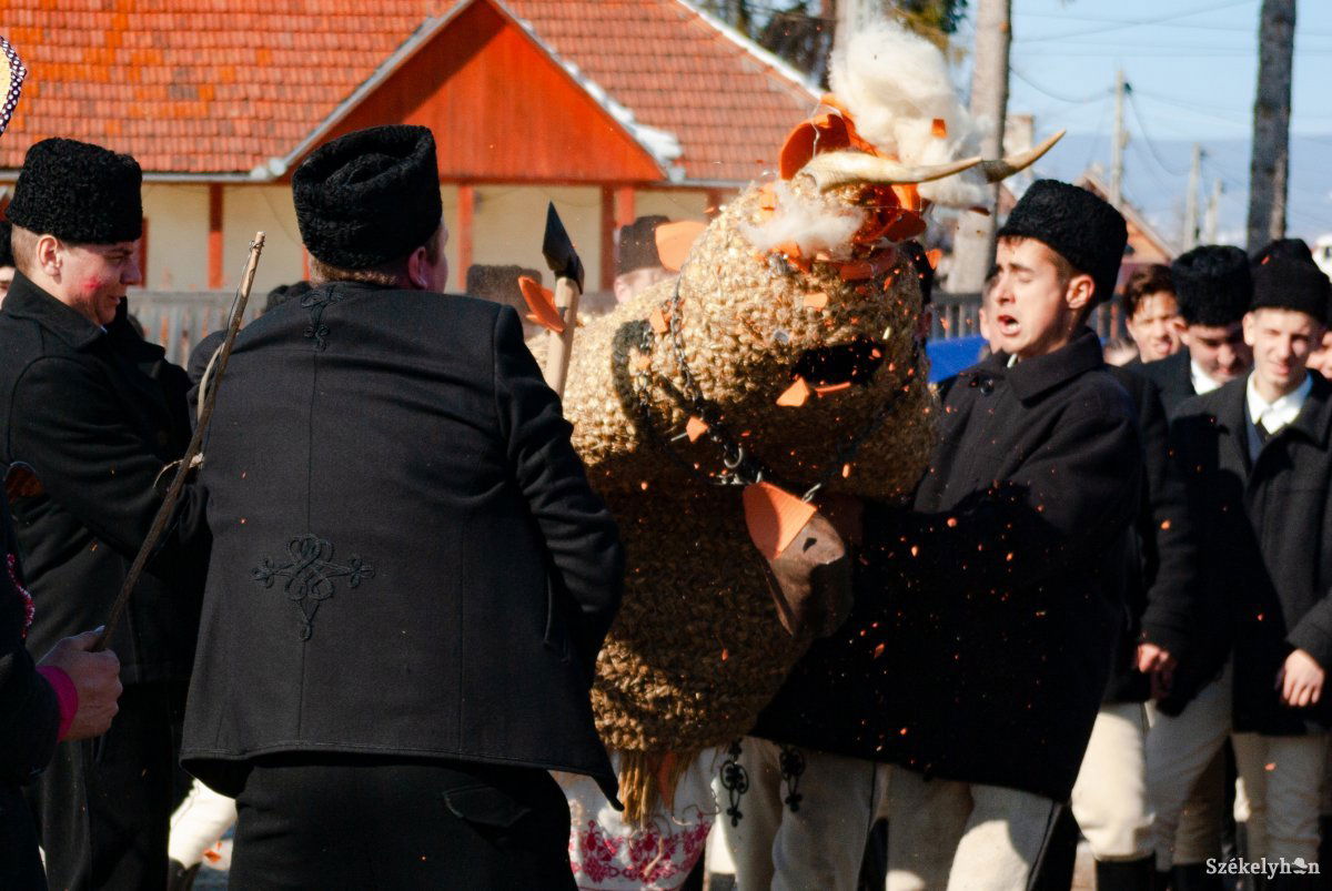 •  Fotó: Gábos Albin