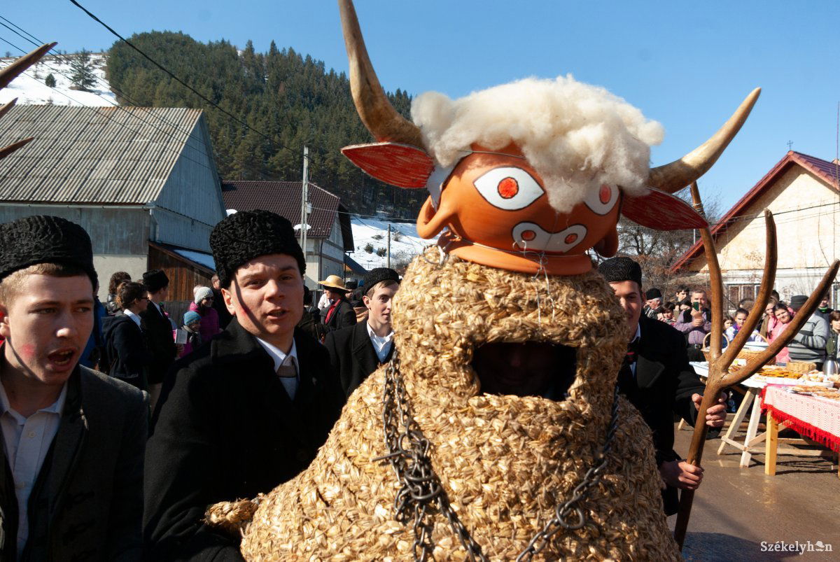 •  Fotó: Gábos Albin