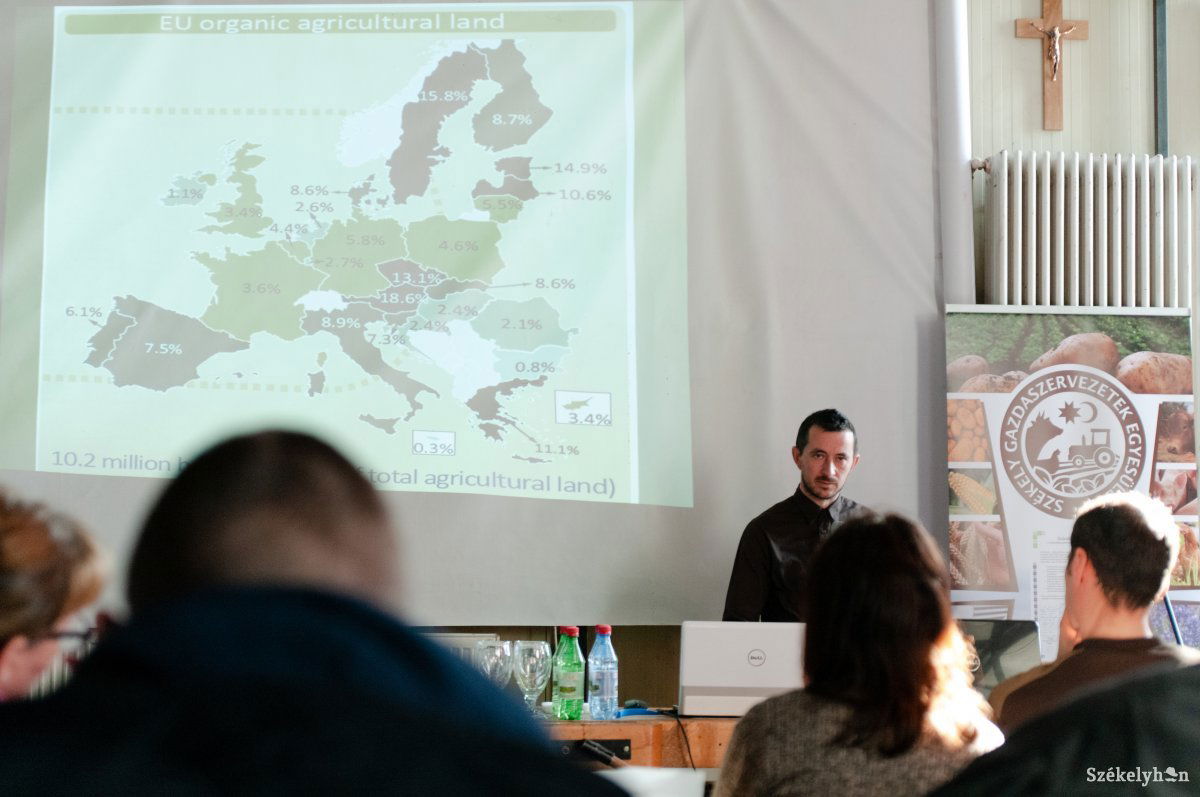 •  Fotó: Gábos Albin