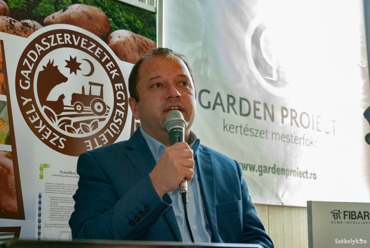 Becze István •  Fotó: Gábos Albin