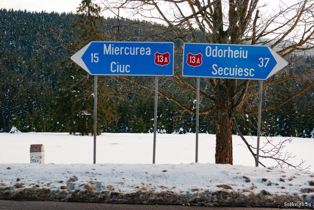 Képünk illusztráció •  Fotó: Gábos Albin