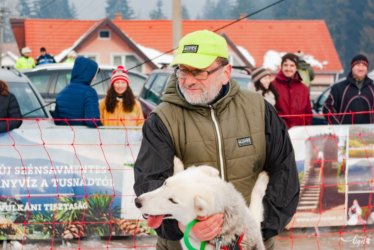 Both László több mint húsz éve foglalkozik szánhúzó kutyákkal •  Fotó: Gábos Albin