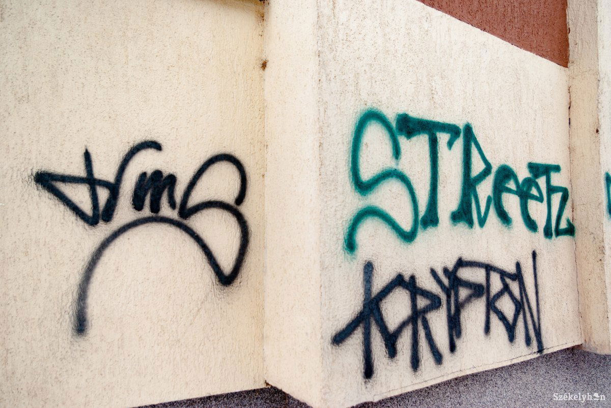 Falfirkák egy hőszigetelt csíkszeredai tömbház falán. Nem túl szép látvány •  Fotó: Gábos Albin