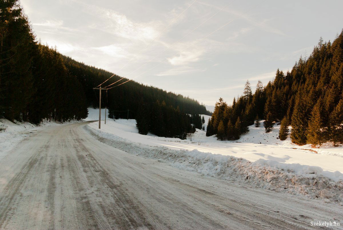 •  Fotó: Gábos Albin