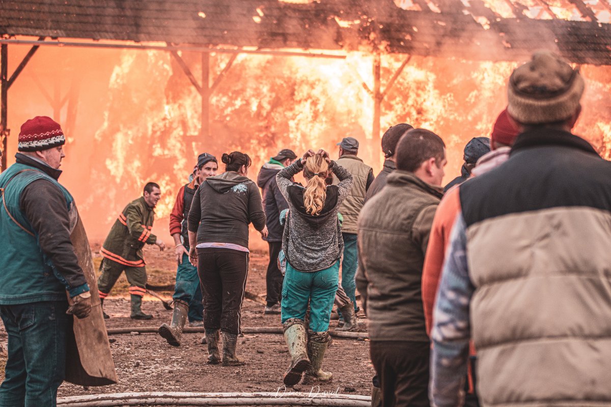 &bullet;  Fotó: Dénes Dávid