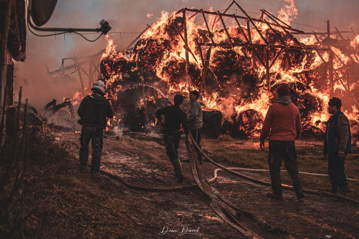 &bullet;  Fotó: Dénes Dávid