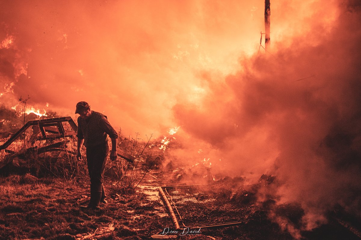 &bullet;  Fotó: Dénes Dávid