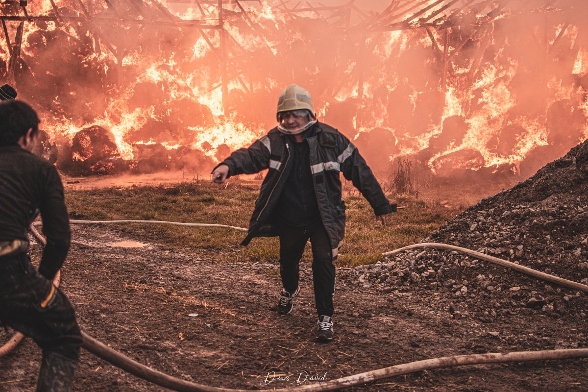 &bullet;  Fotó: Dénes Dávid