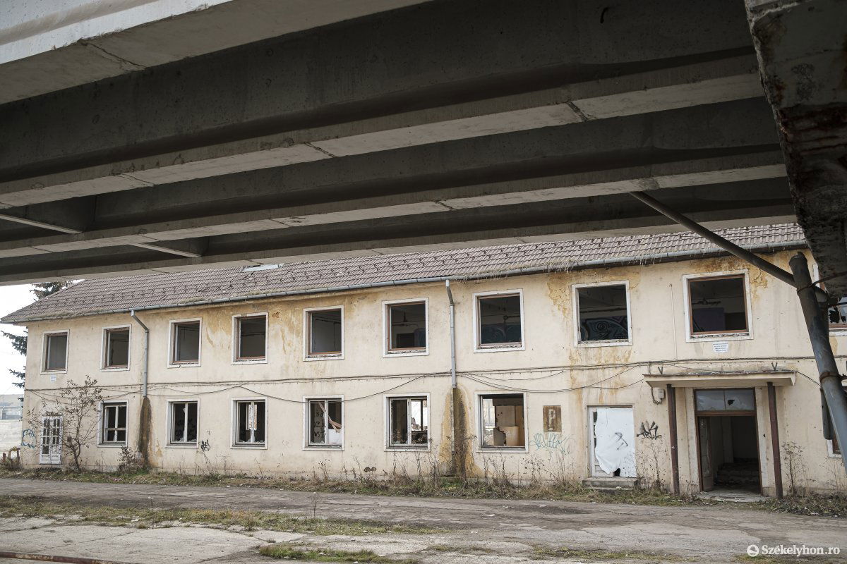 •  Fotó: Veres Nándor