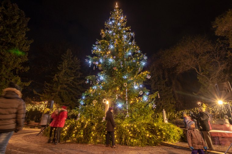 Változatos programok várják Csíkszeredába a Mikulást