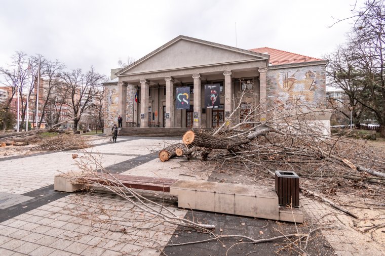 Kényszermegoldásból vágták vissza a Csíki Játékszín előtti fákat