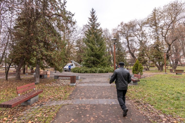 Mikulásvonat, online koncert és ünnepi vásár is lesz Csíkszeredában