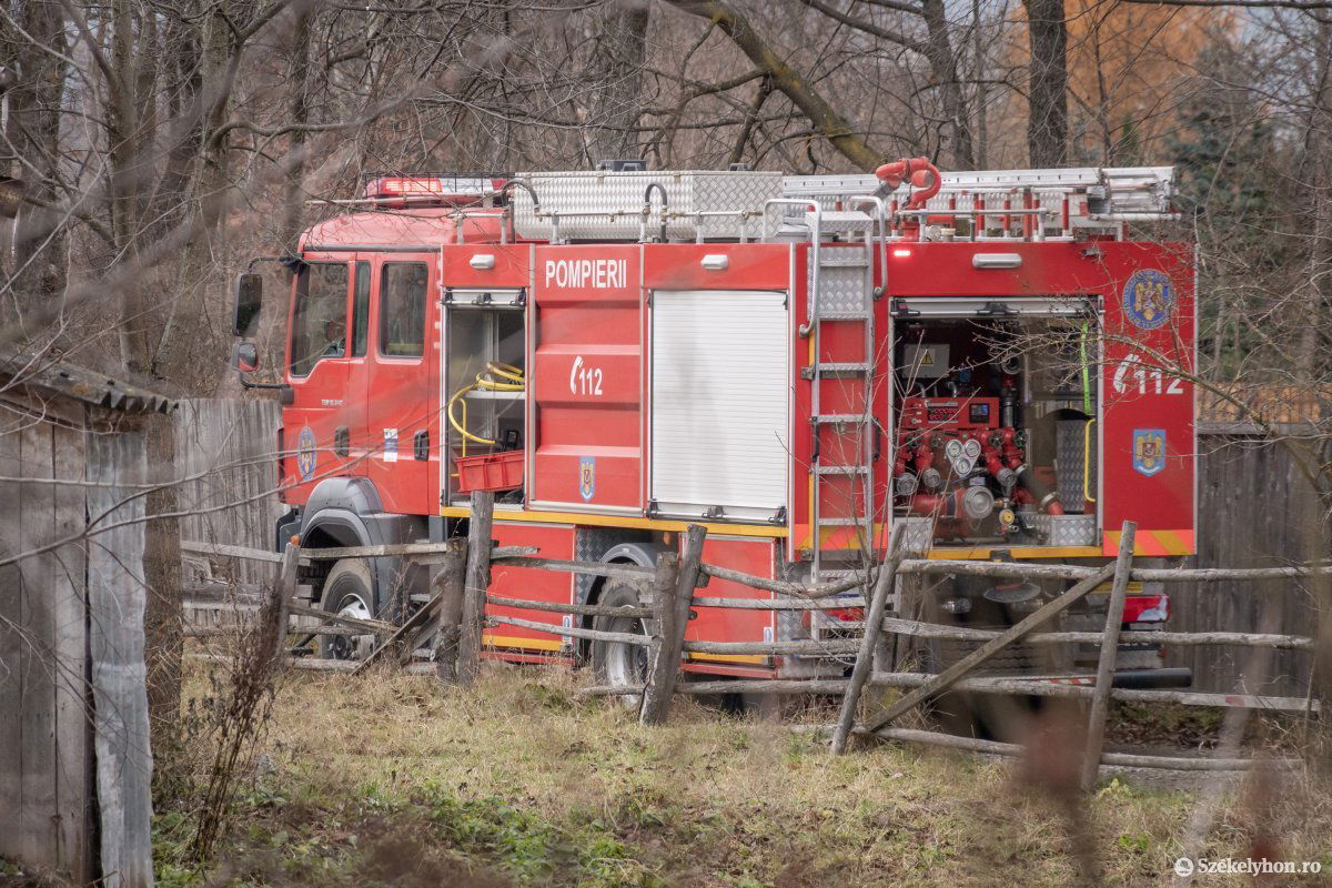 Képünk illusztráció &bullet;  Fotó: Pinti Attila