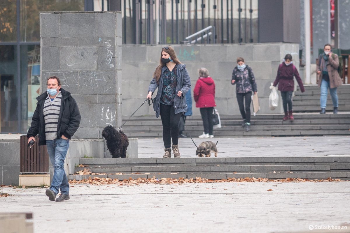 Képünk illusztráció • Fotó: Pinti Attila