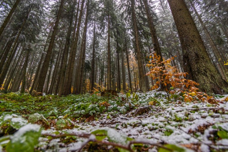 Ilyen időjárásra számíthatunk a következő két hétben