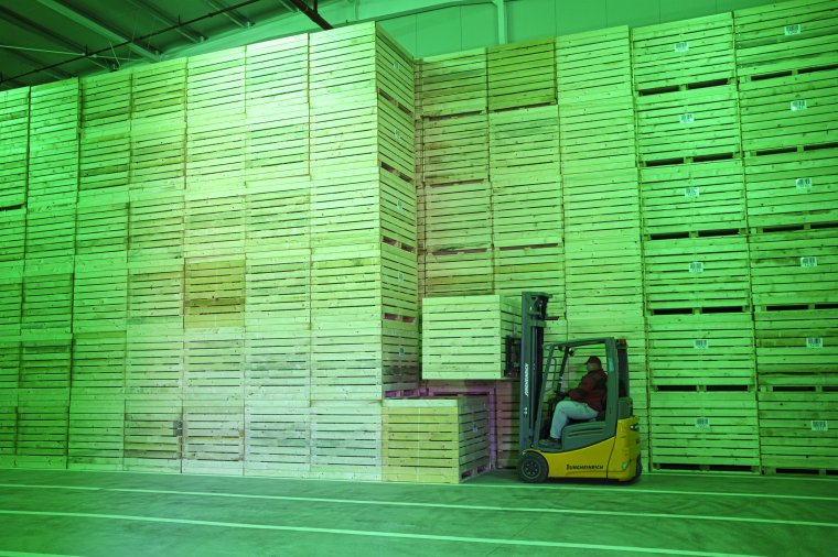 A tervek szerint hamarosan elkezdik a burgonyaszirom gyártását Csíkszentsimonban