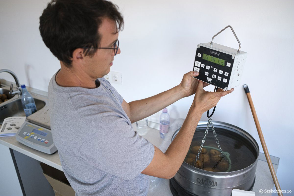 • Fotó: Veres Nándor