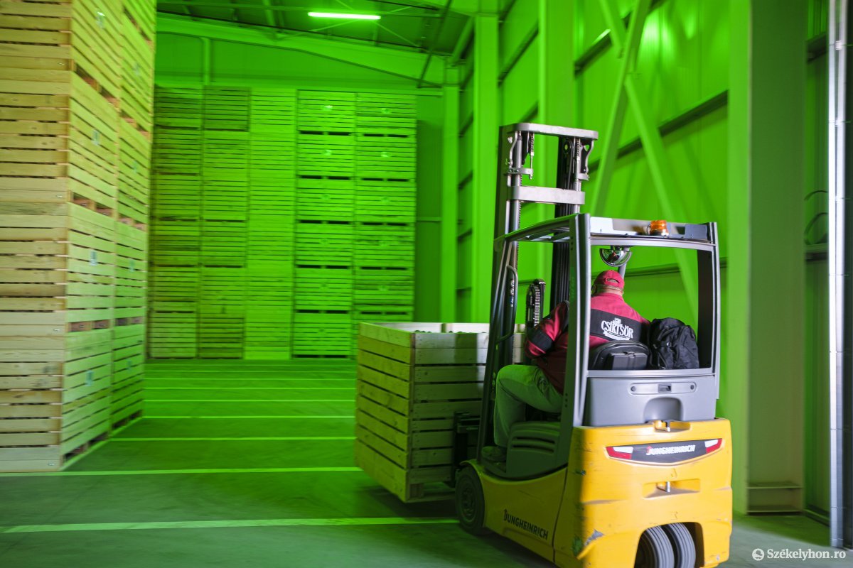 &bullet;  Fotó: Veres Nándor