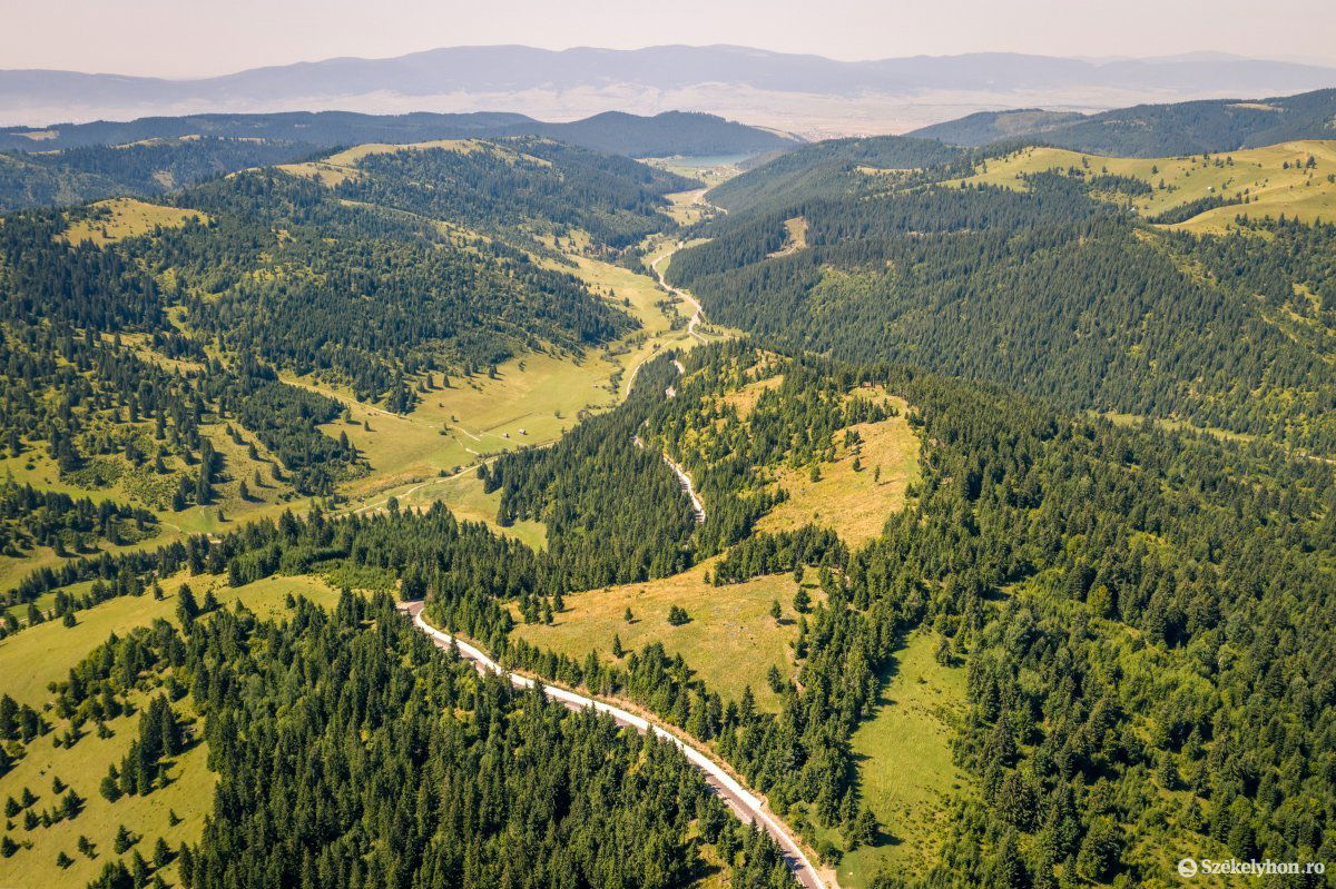 Kié lesz az erdővagyon? •  Fotó: Pinti Attila