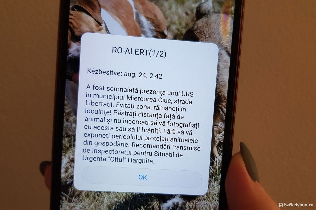 A vészhelyzeti üzenetben tévesen a Szabadság utcát jelölték meg a medveészlelés helyszínéül, holott a medve a Szabadság téren szaladt át •  Fotó: Székelyhon
