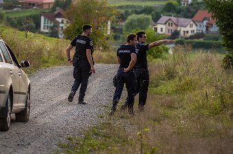 Medve miatt riasztották a csíkszeredaiakat