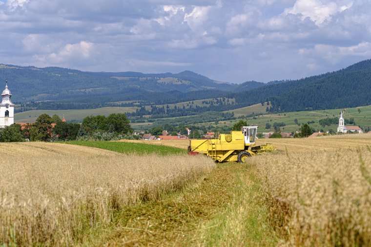 Megvonnák a területalapú támogatásokat a gazdálkodóktól, petícióval tiltakoznak