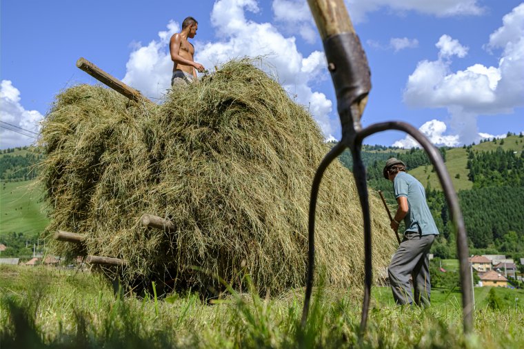 Állatok nélkül nincs agrár-környezetgazdálkodási támogatás