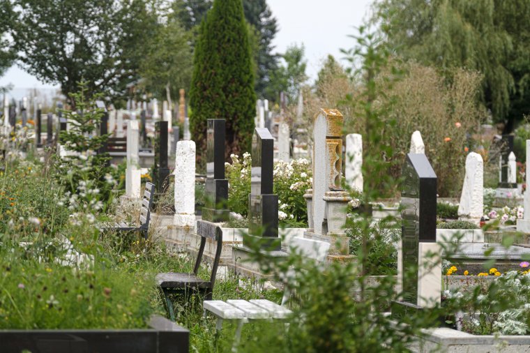 Nem mindenki kegyeleti okokból látogatja a temetőt