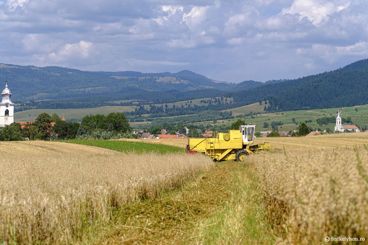 Képünk illusztráció •  Fotó: Veres Nándor