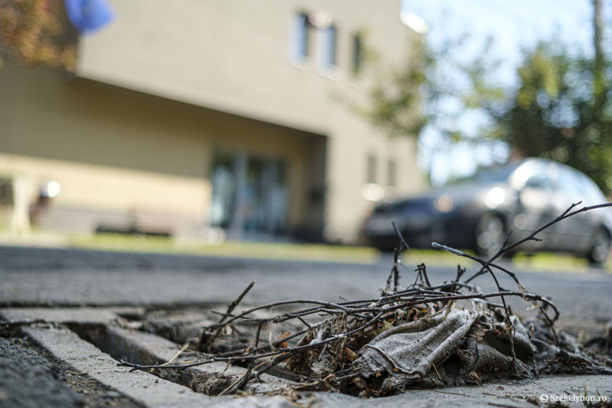 &bullet;  Fotó: Veres Nándor