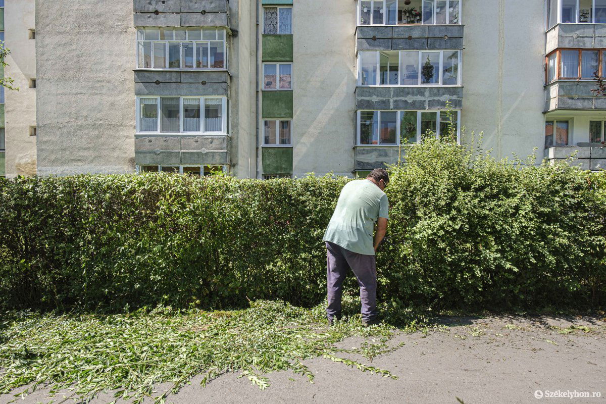 A közös teherviselés és megosztott feladatkörök jelentik a békés társasházi együttélés alapjait &bullet;  Fotó: Veres Nándor