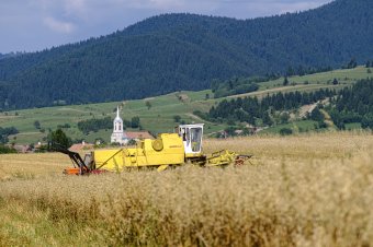 Bőséges idei termésben bízik az agrárminiszter