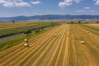 Fiatal gazdáknak ajánl állami földeket a kormány