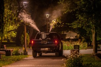 Rovar- és rágcsálóirtás lesz Csíkszeredában