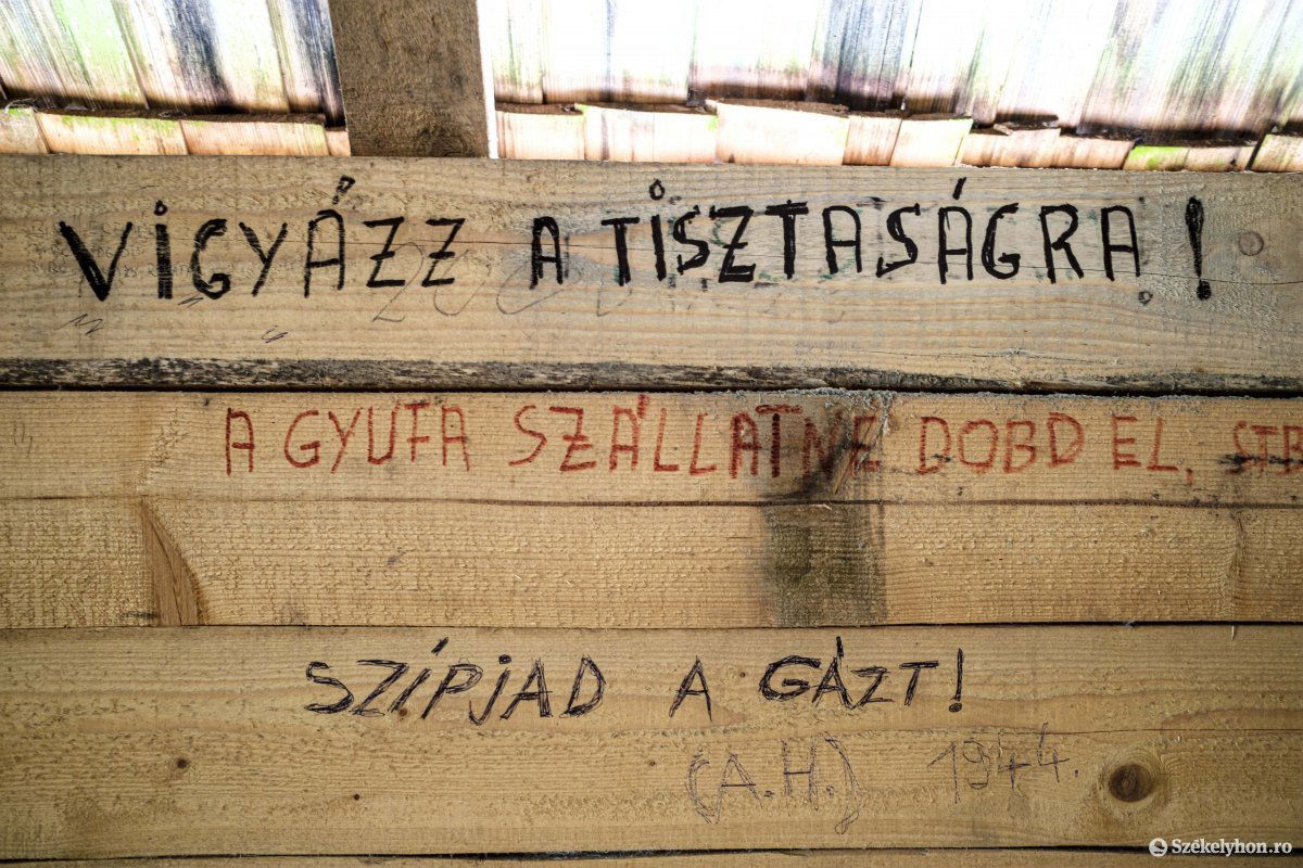 •  Fotó: Veres Nándor