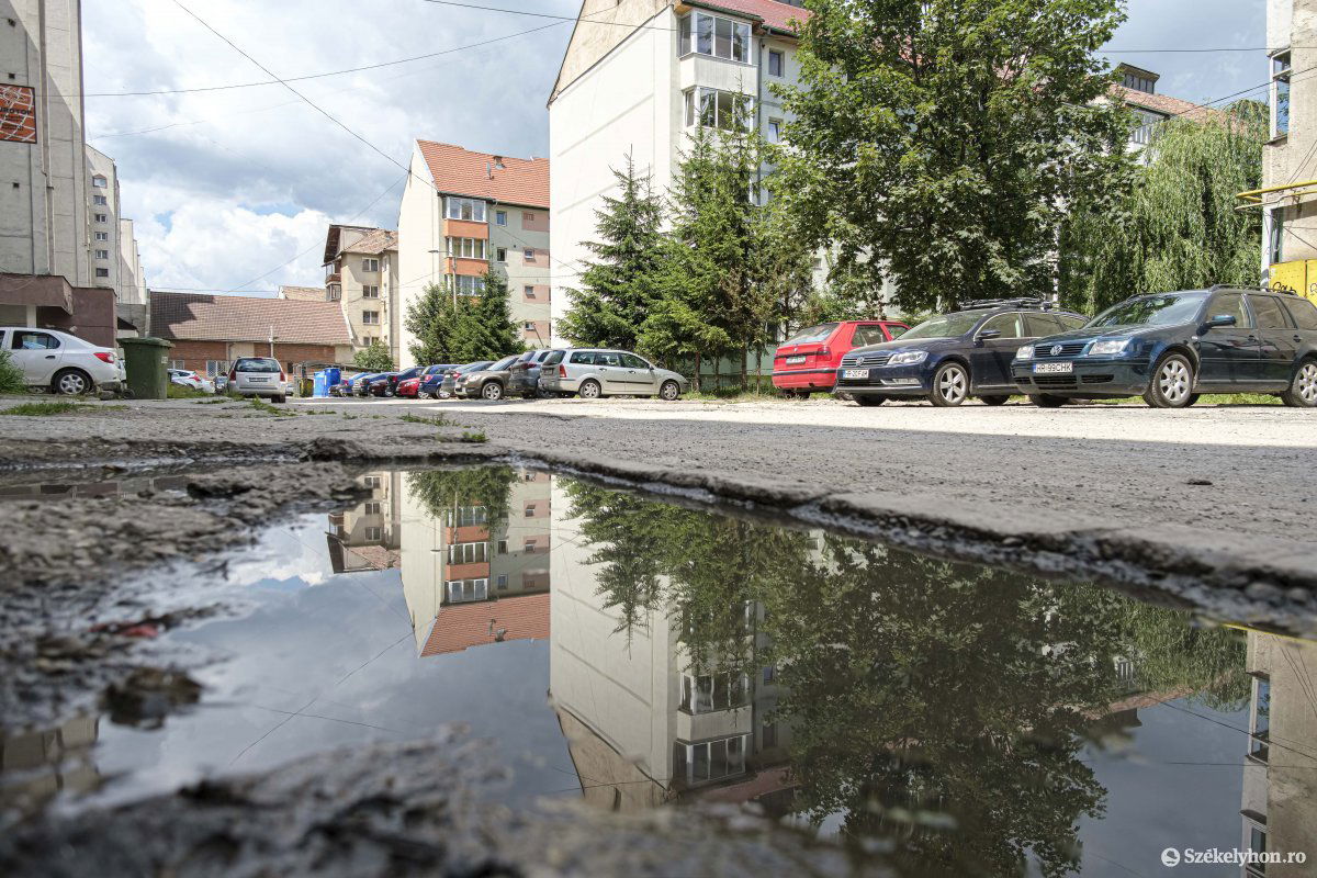 •  Fotó: Veres Nándor