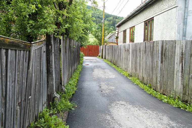 Lakossági panasz hiányában semmit sem tehetnek a Csíkszeredában garázdálkodó medve ellen