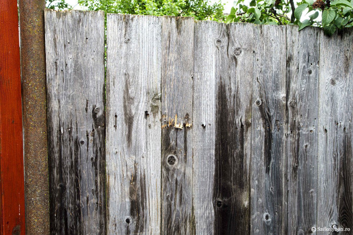 Kerítést rongált a medve a csíkszeredai Malom utcában. Hétfőn már helyreállították, csak karmolás nyomai láthatók a lécen &bullet;  Fotó: Veres Nándor