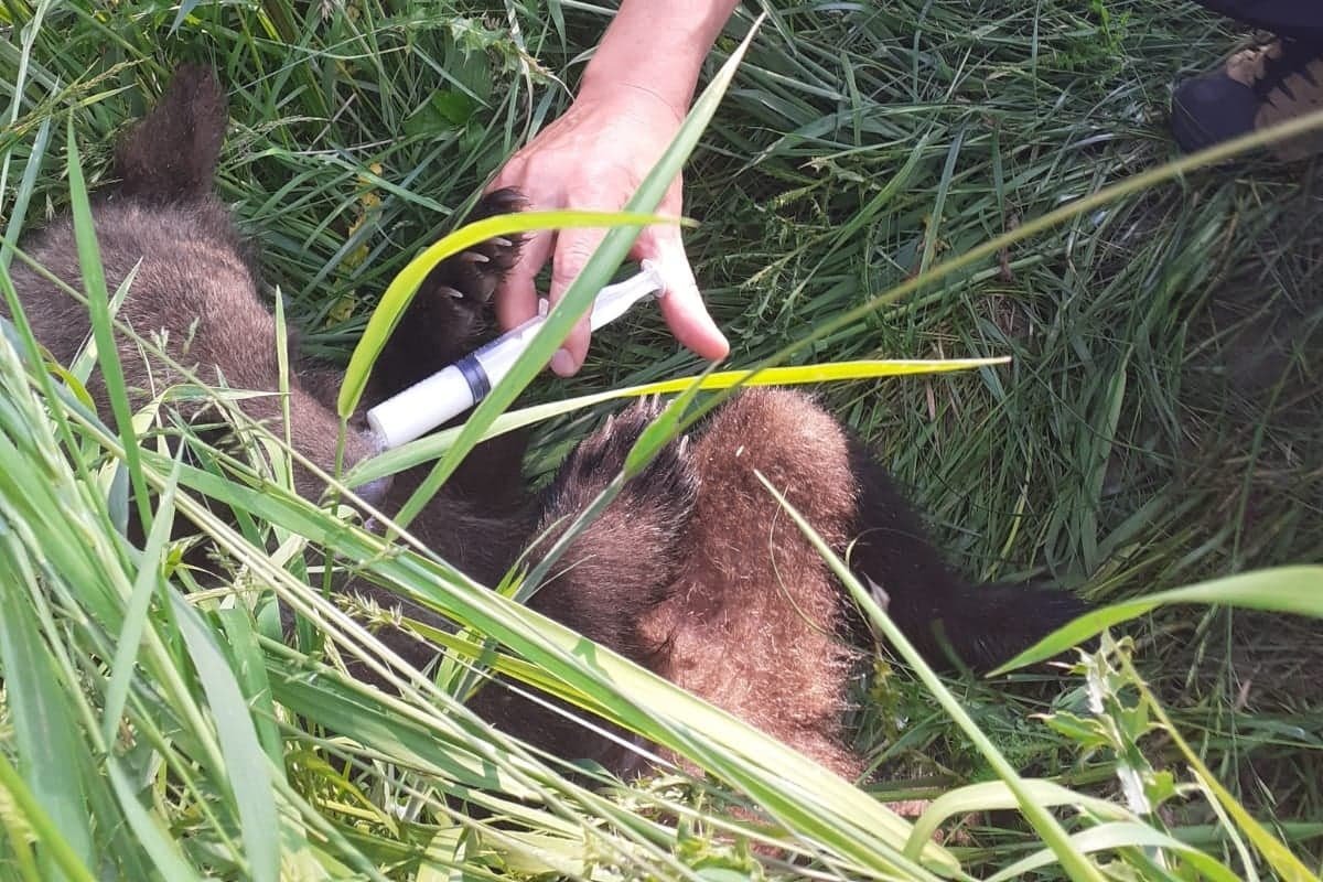 &bullet;  Fotó: Hargita Megyei Csendőrfelügyelőség