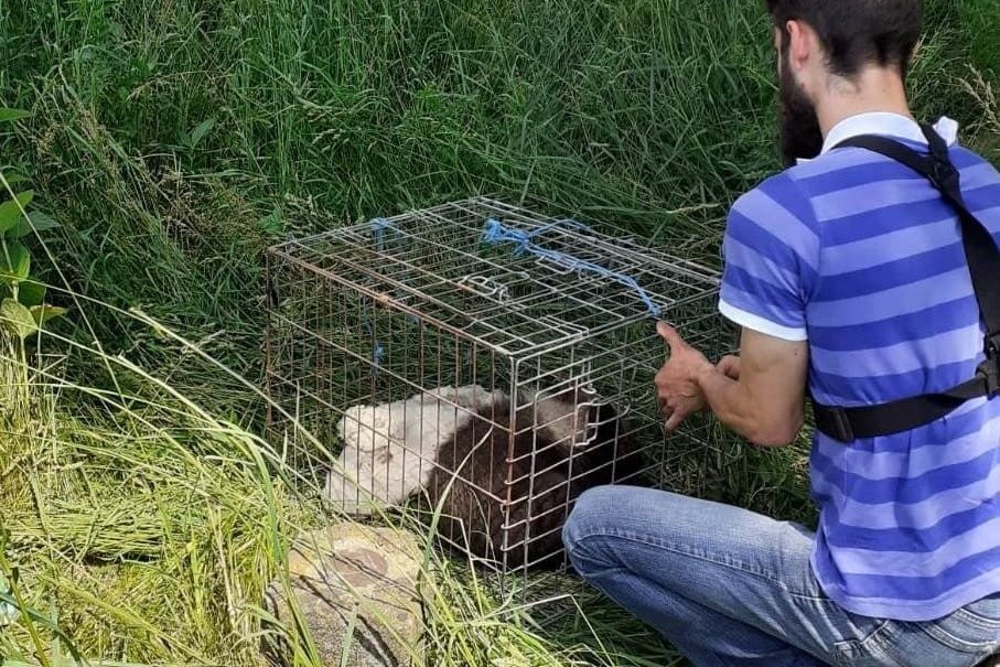 &bullet;  Fotó: Hargita Megyei Csendőrfelügyelőség
