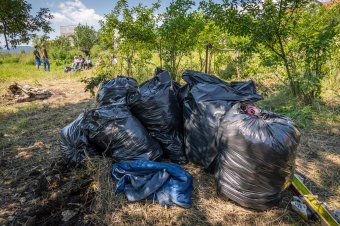 Lehet jelentkezni Székelyudvarhelyen a takarítás világnapja alkalmából szervezett akcióra
